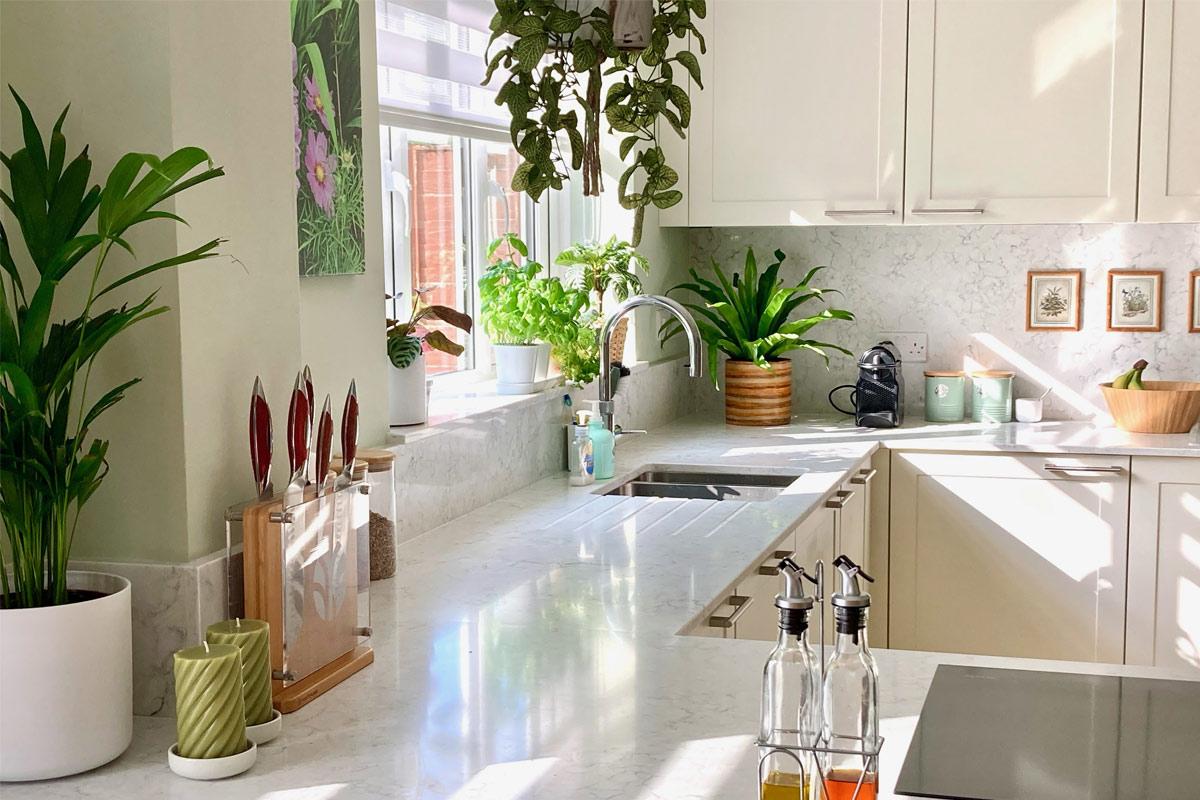 چه گلی واسه آشپزخونه بگیرم؟! | گیاهان آپارتمانی مناسب آشپزخانه