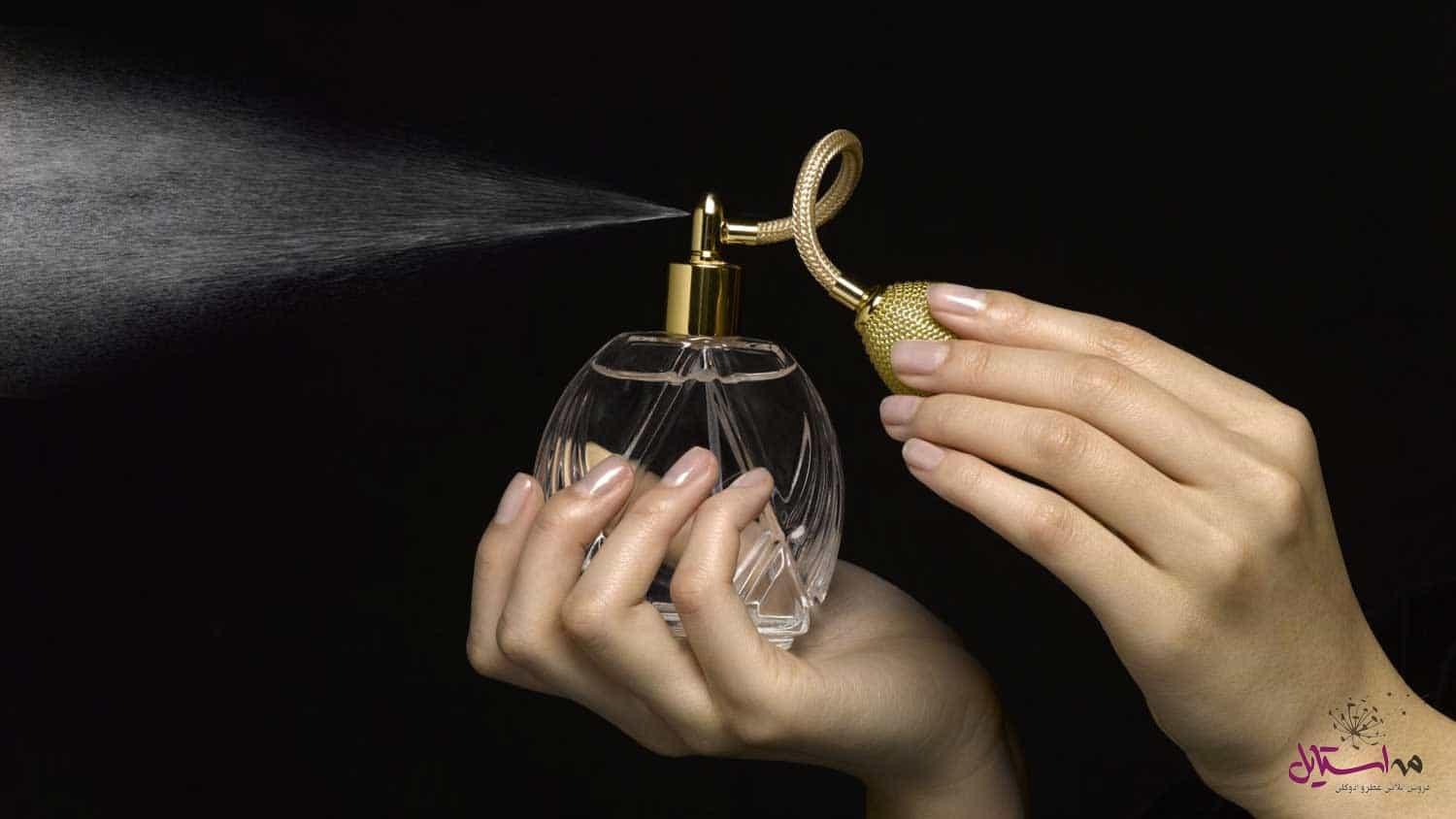 ۱۰ عطر زنانه مخصوص دیت های شبانه | یه کاری کن قرارتون با عطرت موندگار بشه!