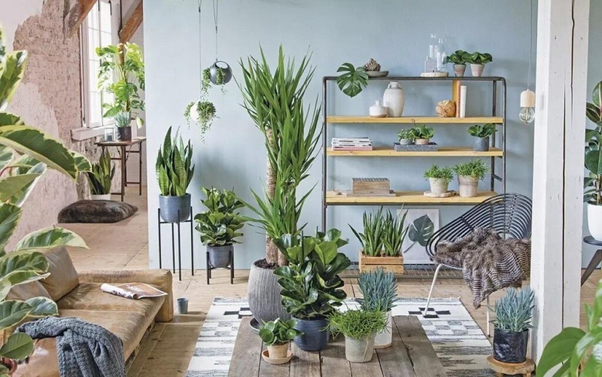 خلاقانه‌ ترین ایده‌های چیدمان گیاهان آپارتمانی + عکس