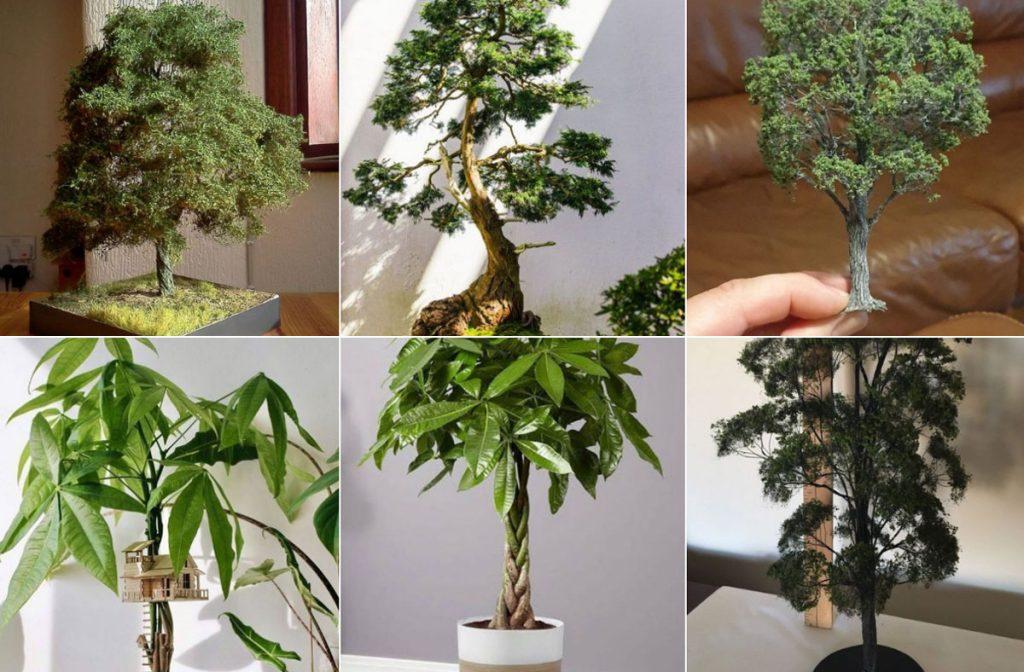 4 گیاه آپارتمانی درختی که خونه رو زیبا می کنن! + عکس