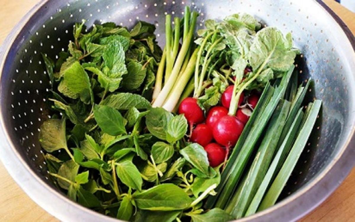روش های تازه نگه داشتن سبزی خوردن برای مدت طولانی!