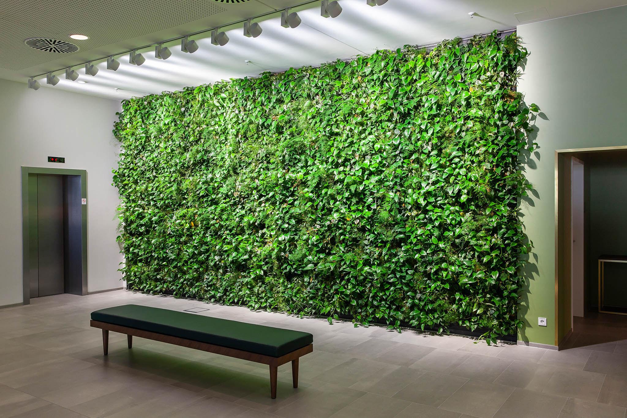 10 ایده گرین وال «دیوار سبز مصنوعی» که امسال خیلی ترند شده + عکس
